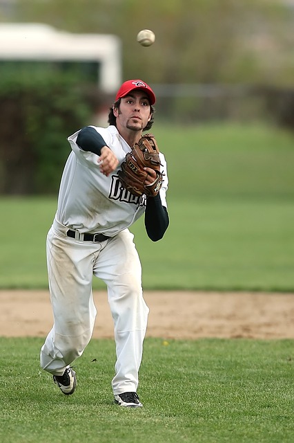 Everything You Have Always Wanted To Know About Baseball