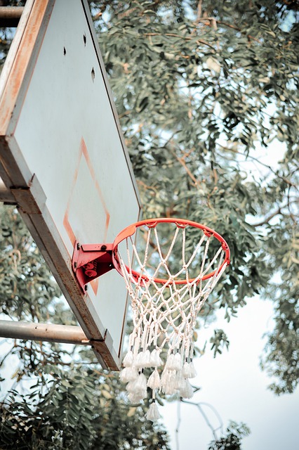 Love Basketball But Need Tips To Play Better? Check Out These Ideas!