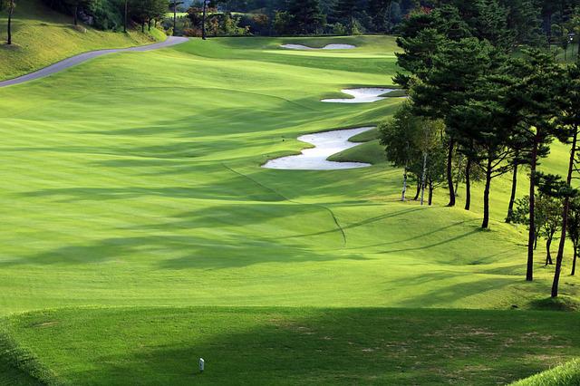 Looking For The Best Golfing Tips On The Web? You’ve Found Them!
