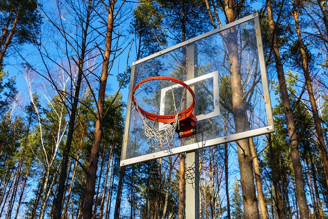 What You’ve Always Wanted To Know About Basketball