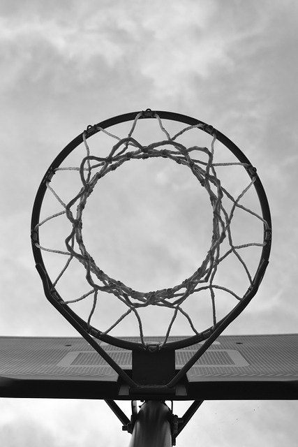 Everything You Wanted To Know About Basketball