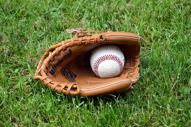 Helping You Understand The World Of Baseball With These Easy Tips