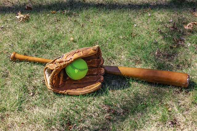 Are You A Baseball Novice? Give This A Read!